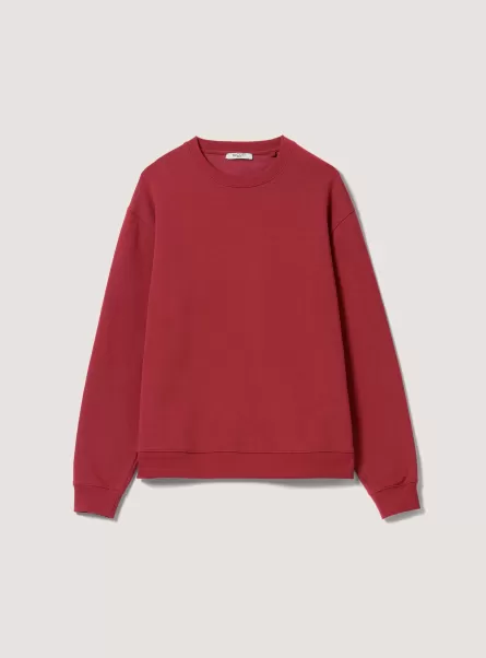C4497 Red Alcott Sweatshirts Eigenschaft Frauen Plain Cotton Crew-Neck Sweatshirt